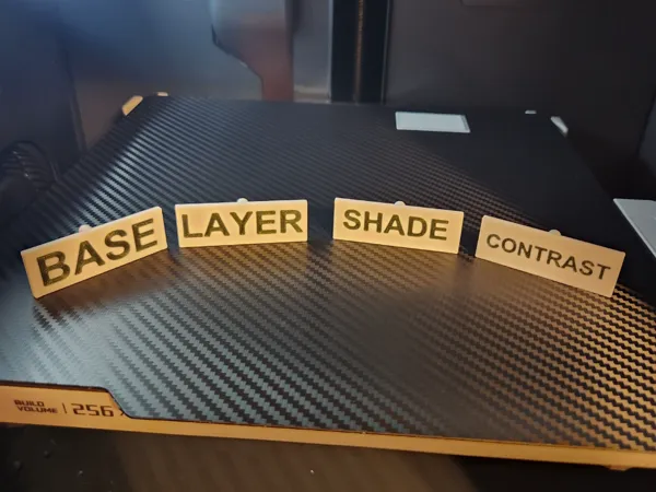 https://makerworld.bblmw.com/makerworld/model/US5278d2bdd57437/design/2024-12-09_0adcae67a2bad.jpg