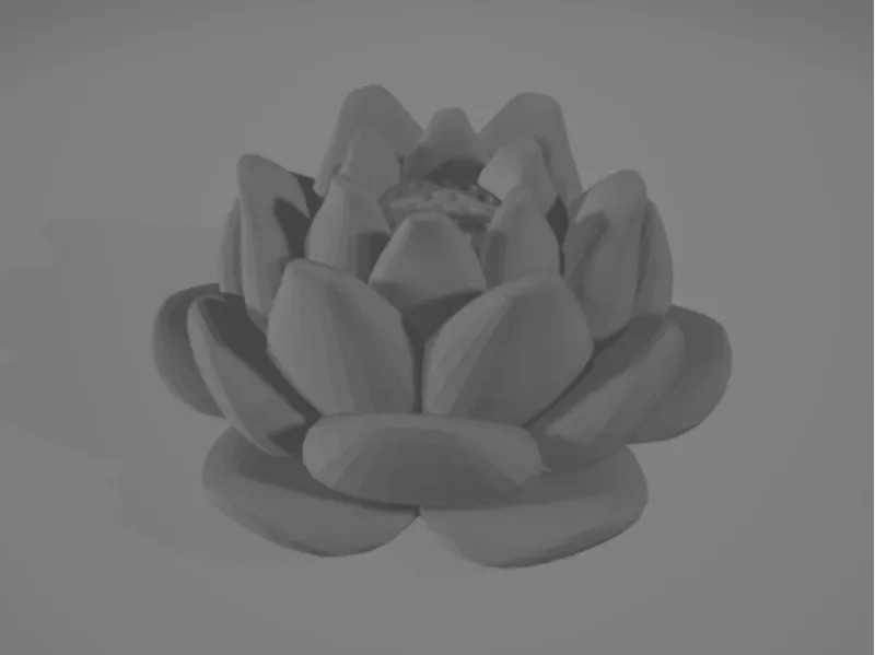 莲花