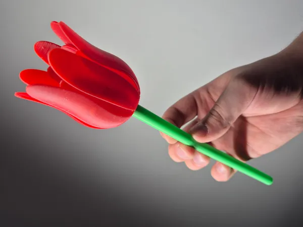 https://makerworld.bblmw.com/makerworld/model/US527e0730d591cd/design/2025-04-11_3151dfd914b5.jpg