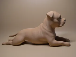Laying staffy