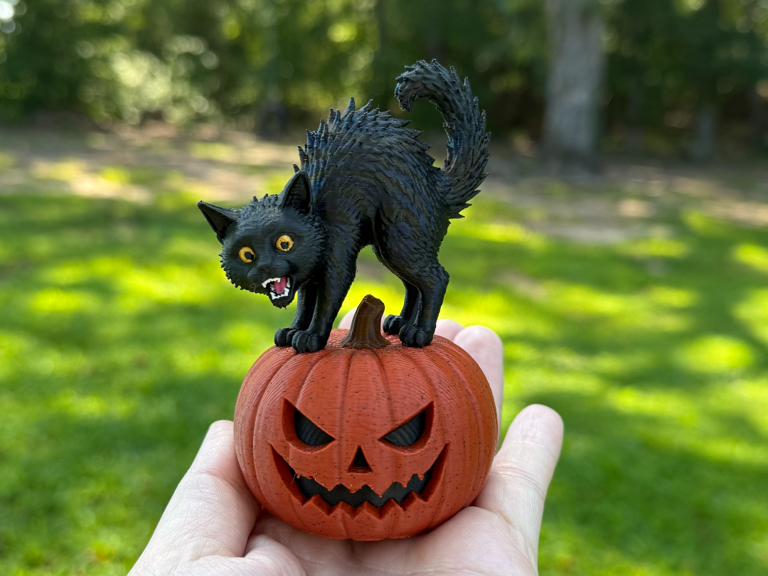 Scaredy Cat 3D model