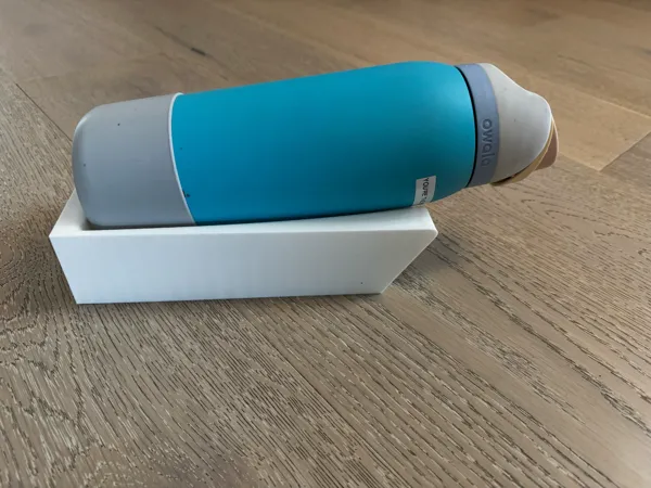 https://makerworld.bblmw.com/makerworld/model/US528b7e9944c495/design/2024-12-31_42b0934344b9d.jpg