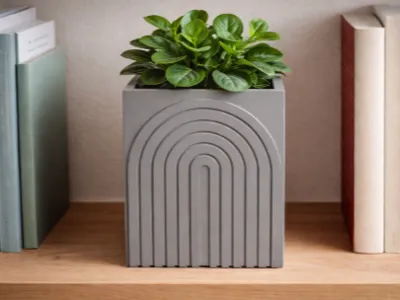 minimalist plant pot book nook.