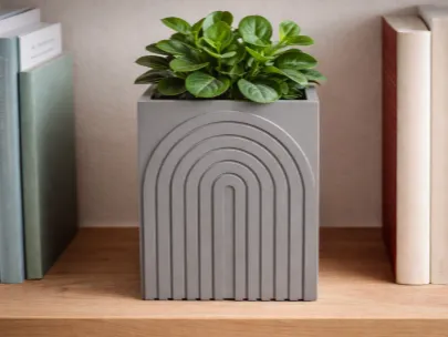 minimalist plant pot book nook.