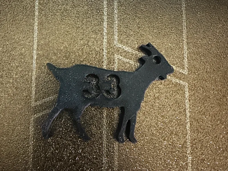 Billy (Strings) Goat