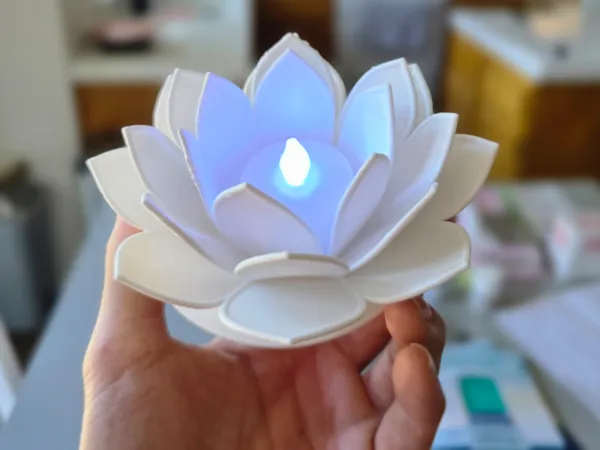https://makerworld.bblmw.com/makerworld/model/US5292d06b0d83f8/design/2025-07-06_4499828a05f228.jpg