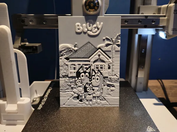 https://makerworld.bblmw.com/makerworld/model/US529811e387691a/design/2024-07-02_487a901931e45.jpg