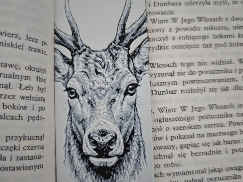 Jeleń