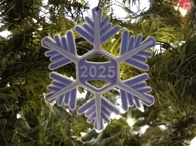 Snowflake_2025