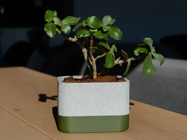 https://makerworld.bblmw.com/makerworld/model/US52ada70bc74097/design/2025-04-10_ff2297c0de9ad8.jpg