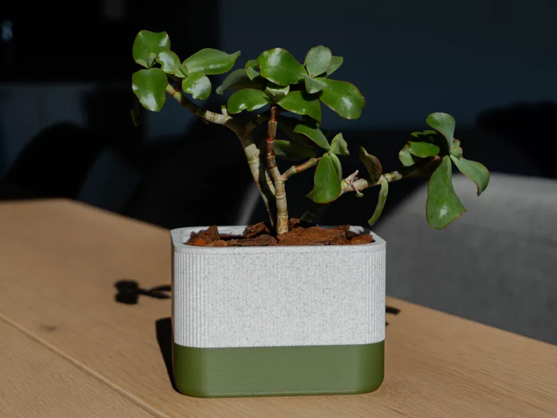 Self-Watering Flower Pot – Two-Tone Design