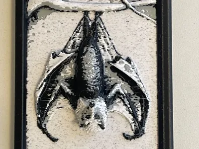 Bat picture