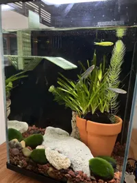 带转角晒台