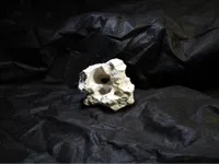 0.2mm 层高, 2 层墙, 15% 填充