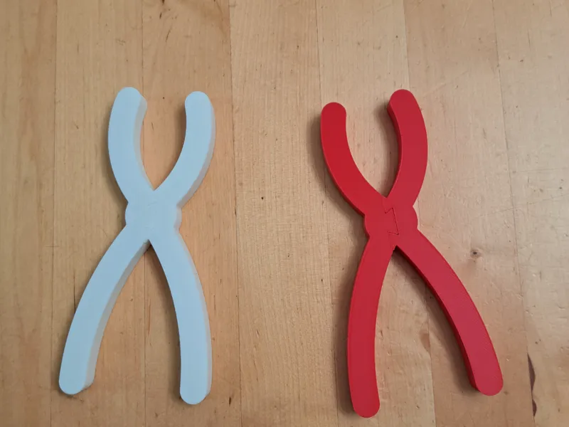 Chromosomen