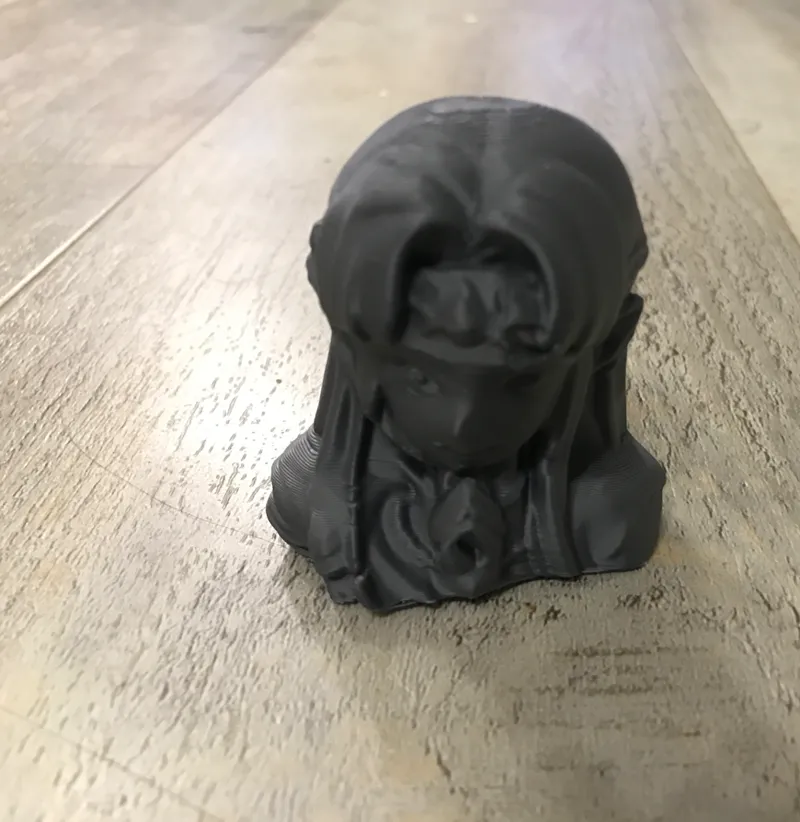 Zelda Bust