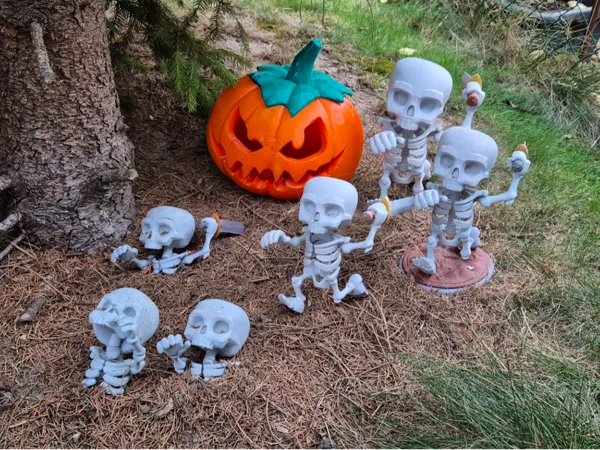 https://makerworld.bblmw.com/makerworld/model/US52be9a6bd7ed71/design/2025-10-10_755e21b0883498.jpg
