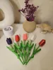 Little Size of Tulip (for Flower Box)