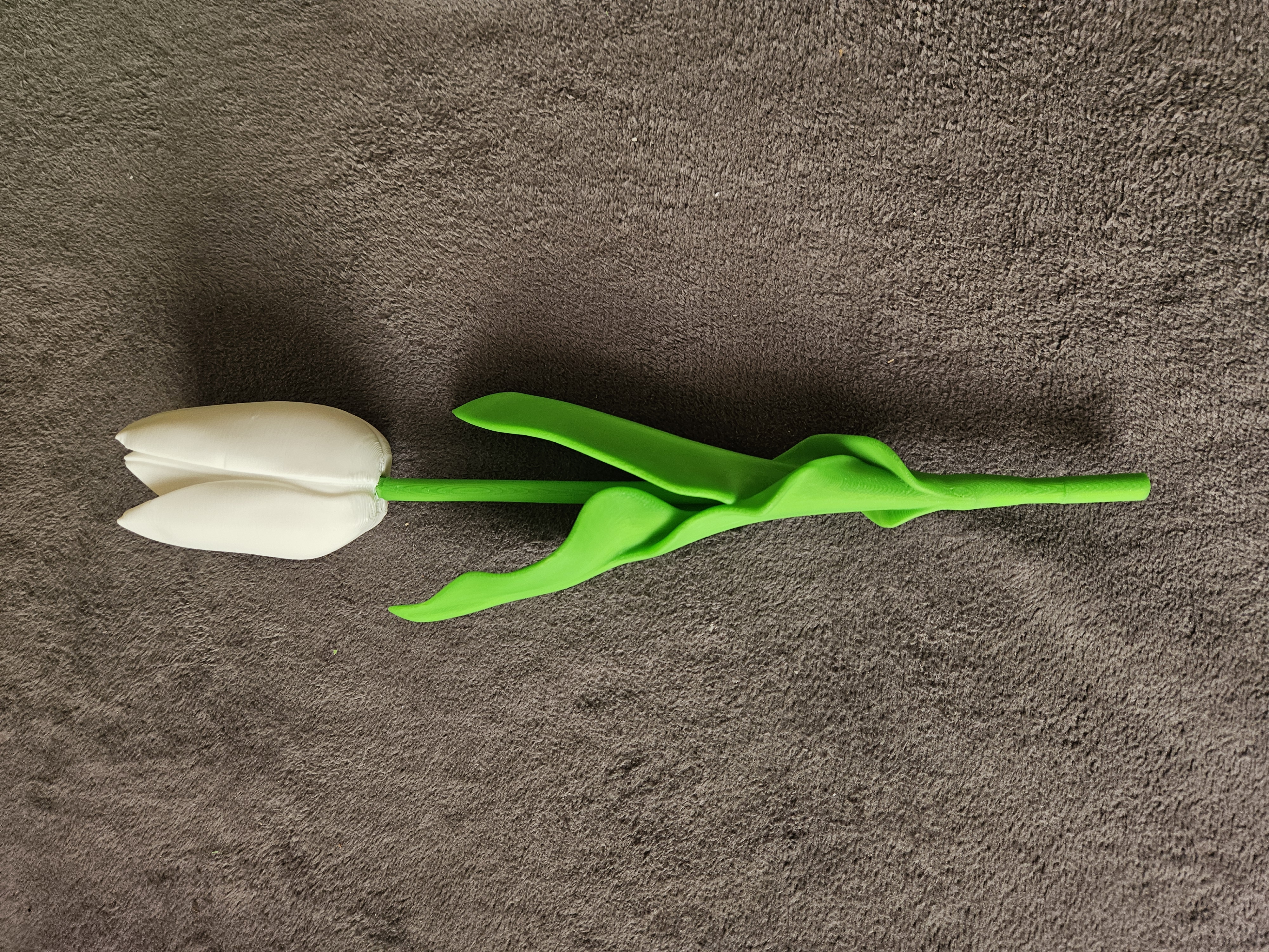 Miniatura 4 do modelo 3D Tulip
