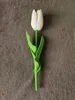 1x Tulip to Vase 