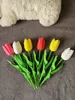 Little Size of Tulip (for Flower Box) - A1 Mini