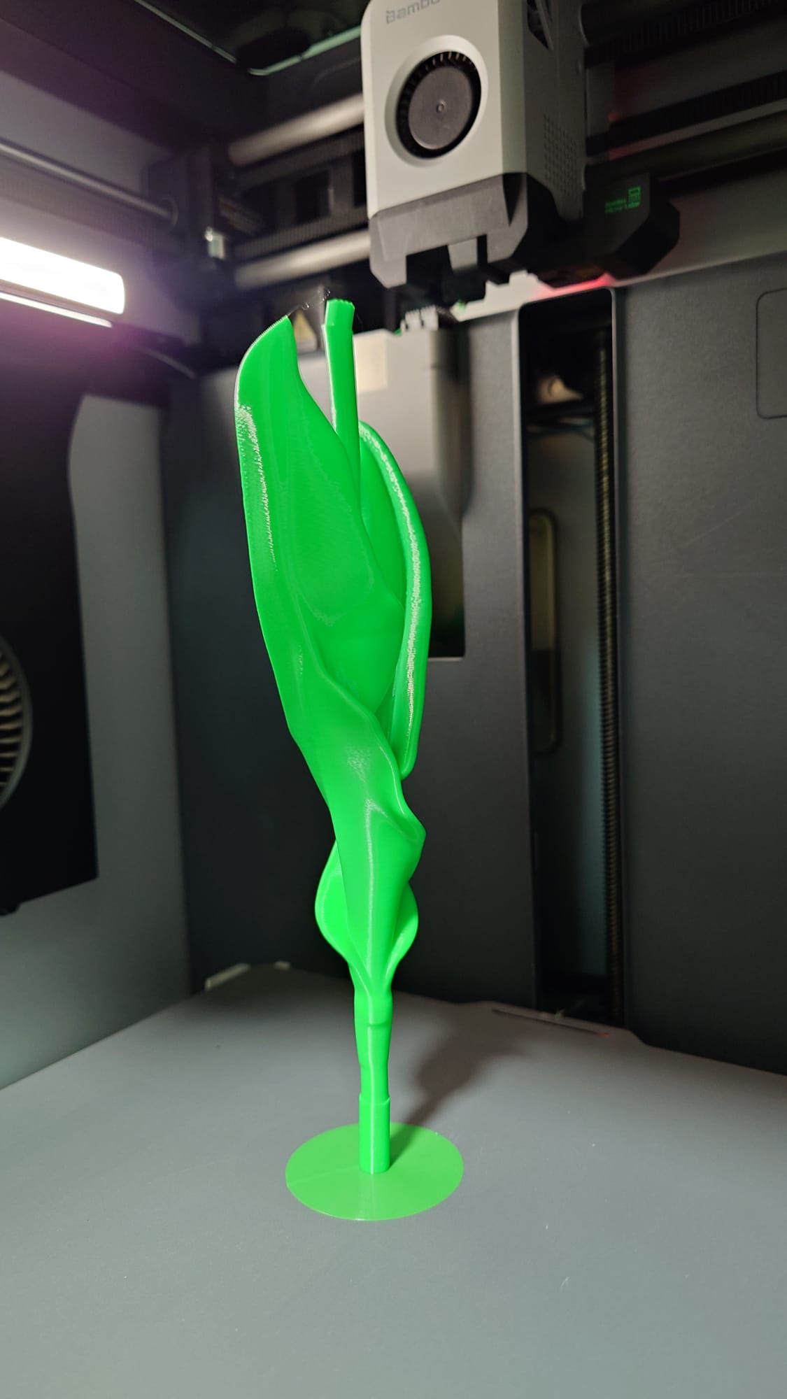 Miniatura 6 do modelo 3D Tulip