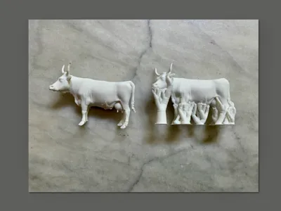Ferrandaise Cow