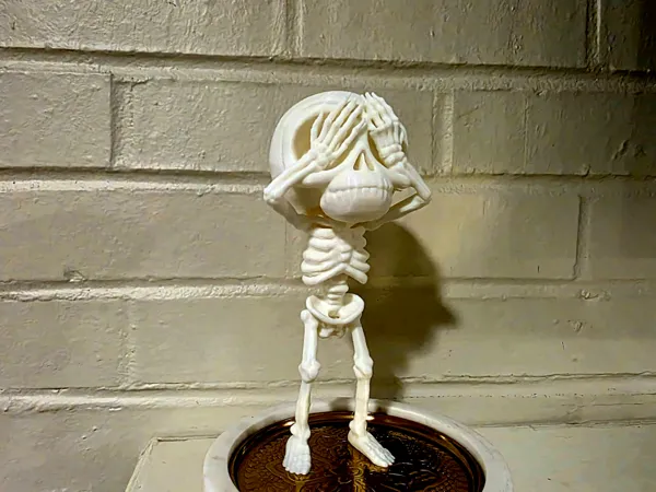 https://makerworld.bblmw.com/makerworld/model/US52d4014e06c1d7/design/acf14aeeca4789ae.jpg