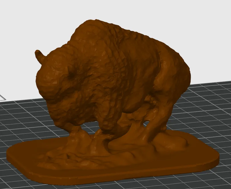 buffalo