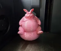 Single Color / Solid model