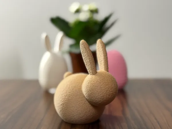 https://makerworld.bblmw.com/makerworld/model/US52d92a96b44540/design/2025-03-12_f881d975cbcfd.jpg