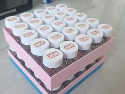 Screw and Nut Storage Box