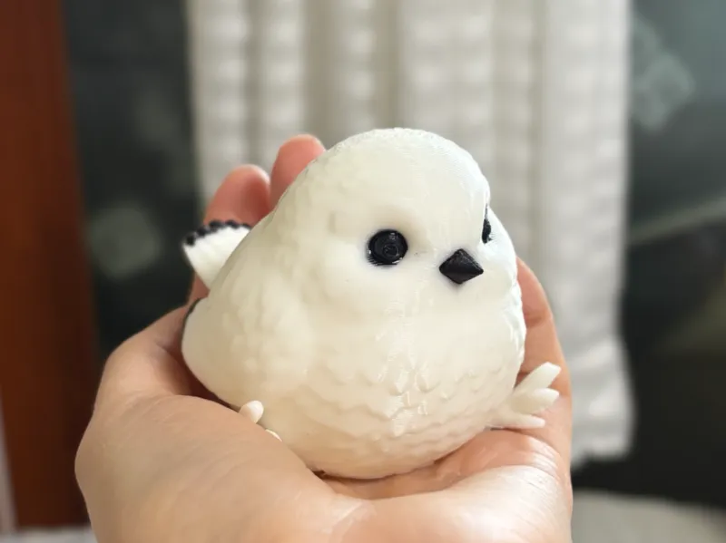 Cute Small Bird