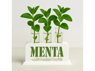 Porta Provette - MentaGrow