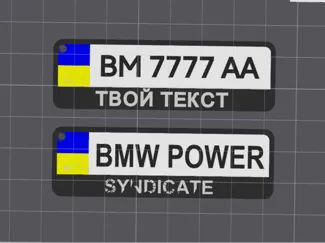 Ukraine Car plate number Keychain
