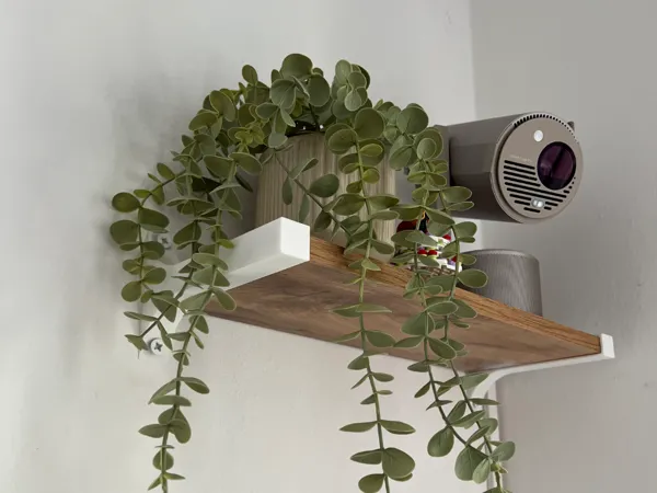 https://makerworld.bblmw.com/makerworld/model/US52f2d88788aa35/design/2025-09-22_977192331bf288.jpeg