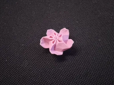 Mayday If you want a flower