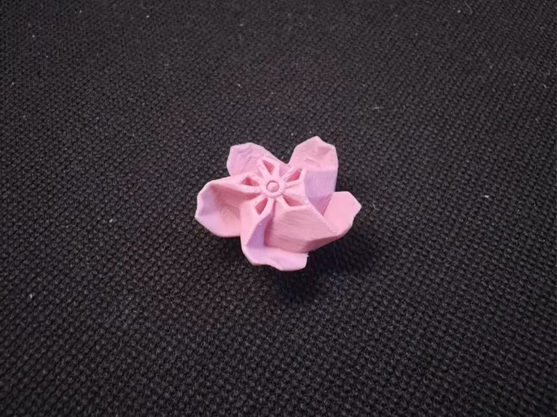 五月天 如果你想要一朵花