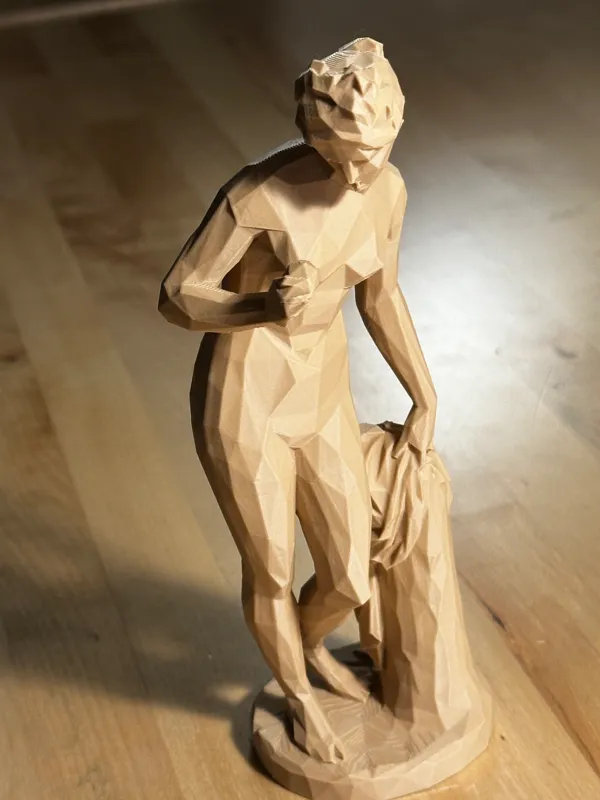 https://makerworld.bblmw.com/makerworld/model/US52f452b80b63bb/design/2024-02-29_3050104172a74.jpeg