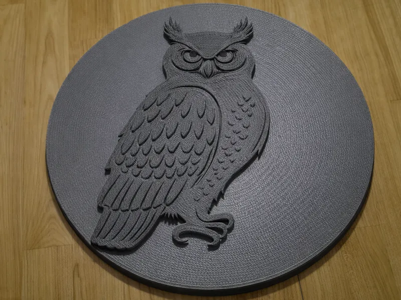 Owl Coaster
