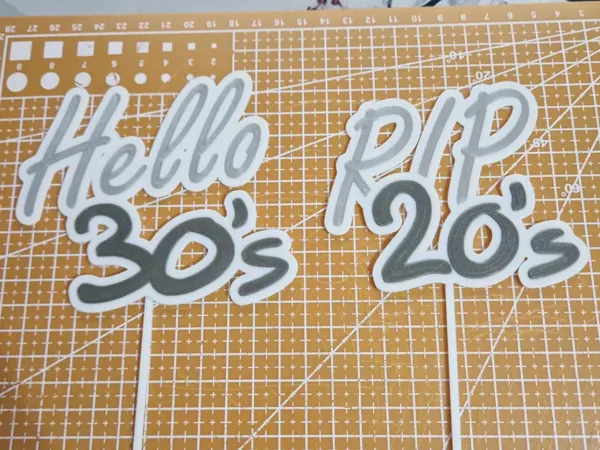 https://makerworld.bblmw.com/makerworld/model/US52f6a89256f3b9/design/2025-03-09_e880412e3da64.jpg