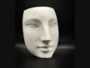 face 20cm