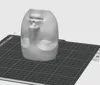 face 10cm