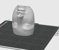 face 10cm