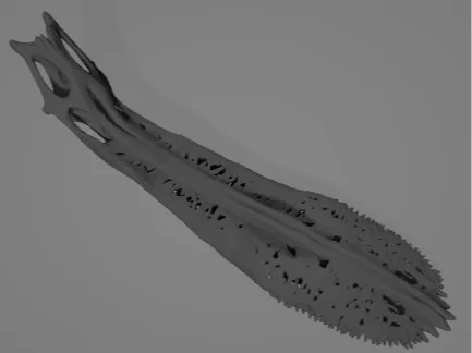 https://makerworld.bblmw.com/makerworld/model/US52f9d35adde9b9/design/2025-08-06_e3c6dcd6abbc1.png