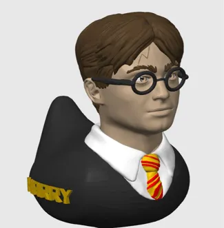 Harry Potter Dash Duck