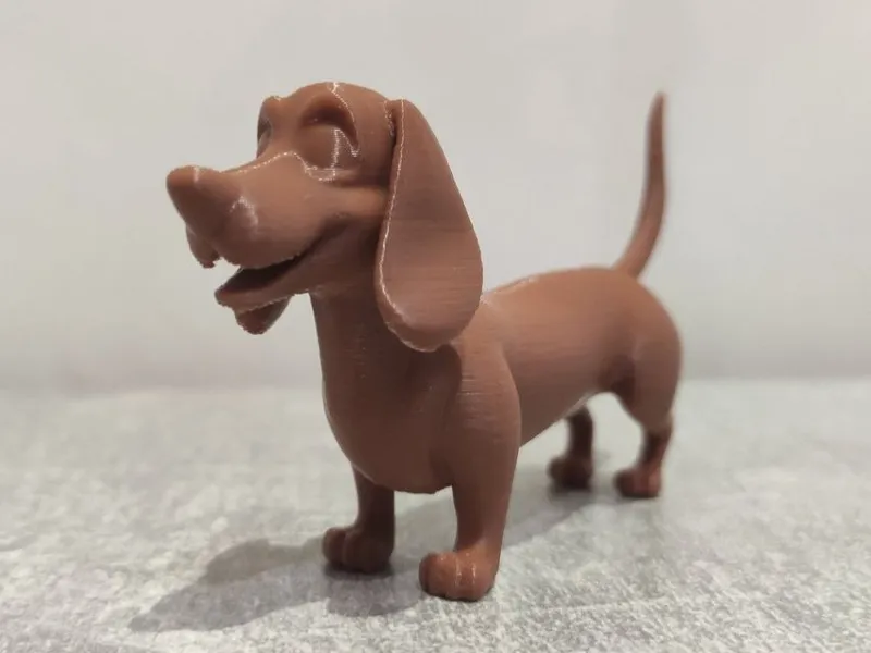 dachshund