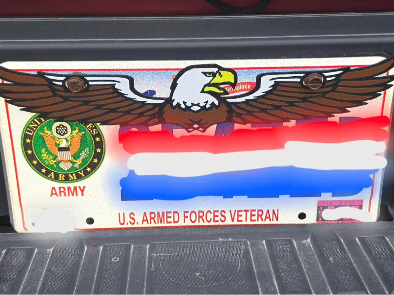 License plate topper - Bald Eagle
