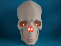 Lampe crâne pour spot LED RGB — photo 2