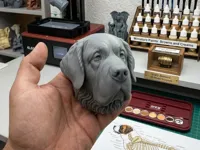 0.12mm layer, 3 walls, 7% infill